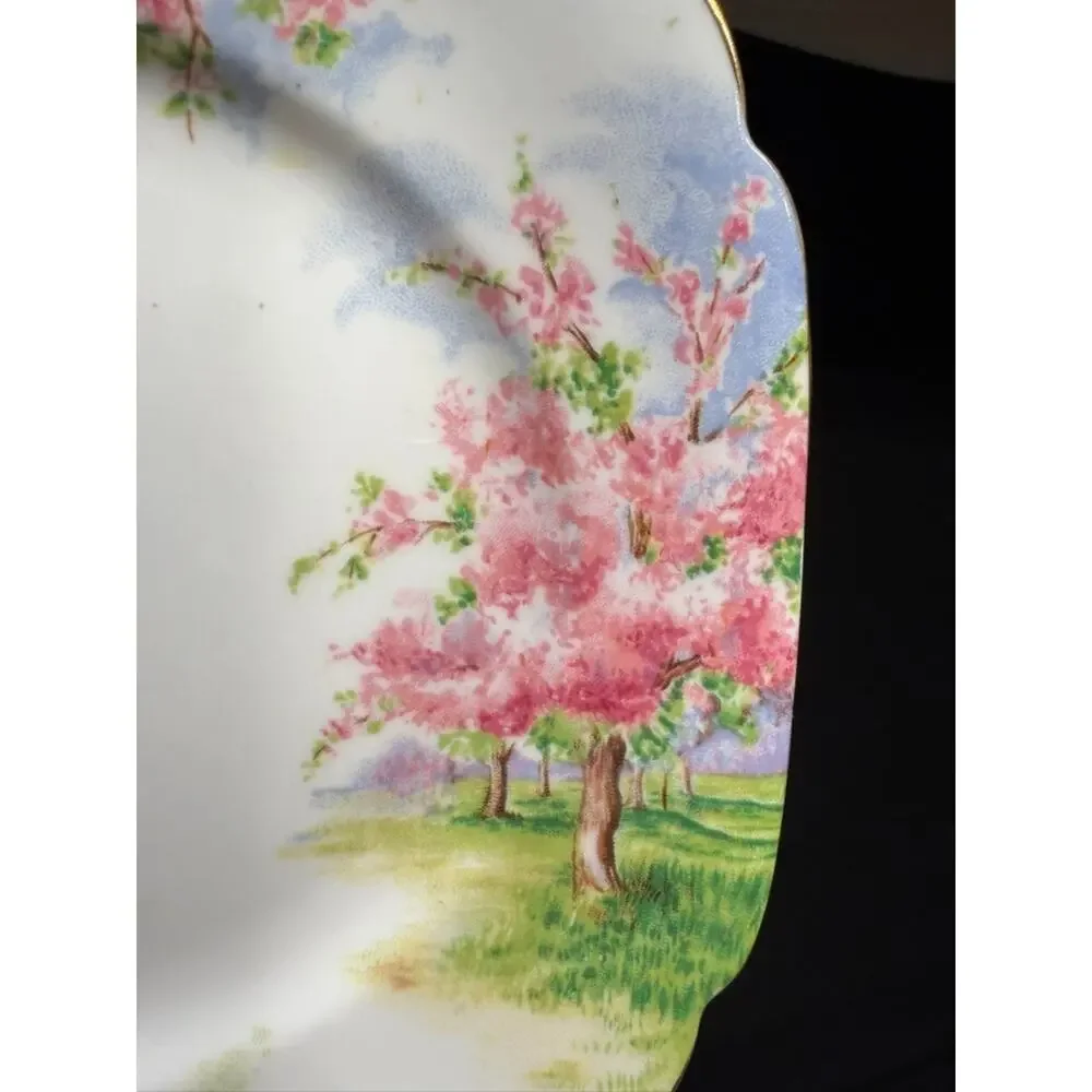 8 Royal Albert England Blossom Time 6.25